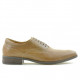 Men stylish, elegant shoes 804 brown