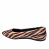 Women dancers 1341 zebra camel
